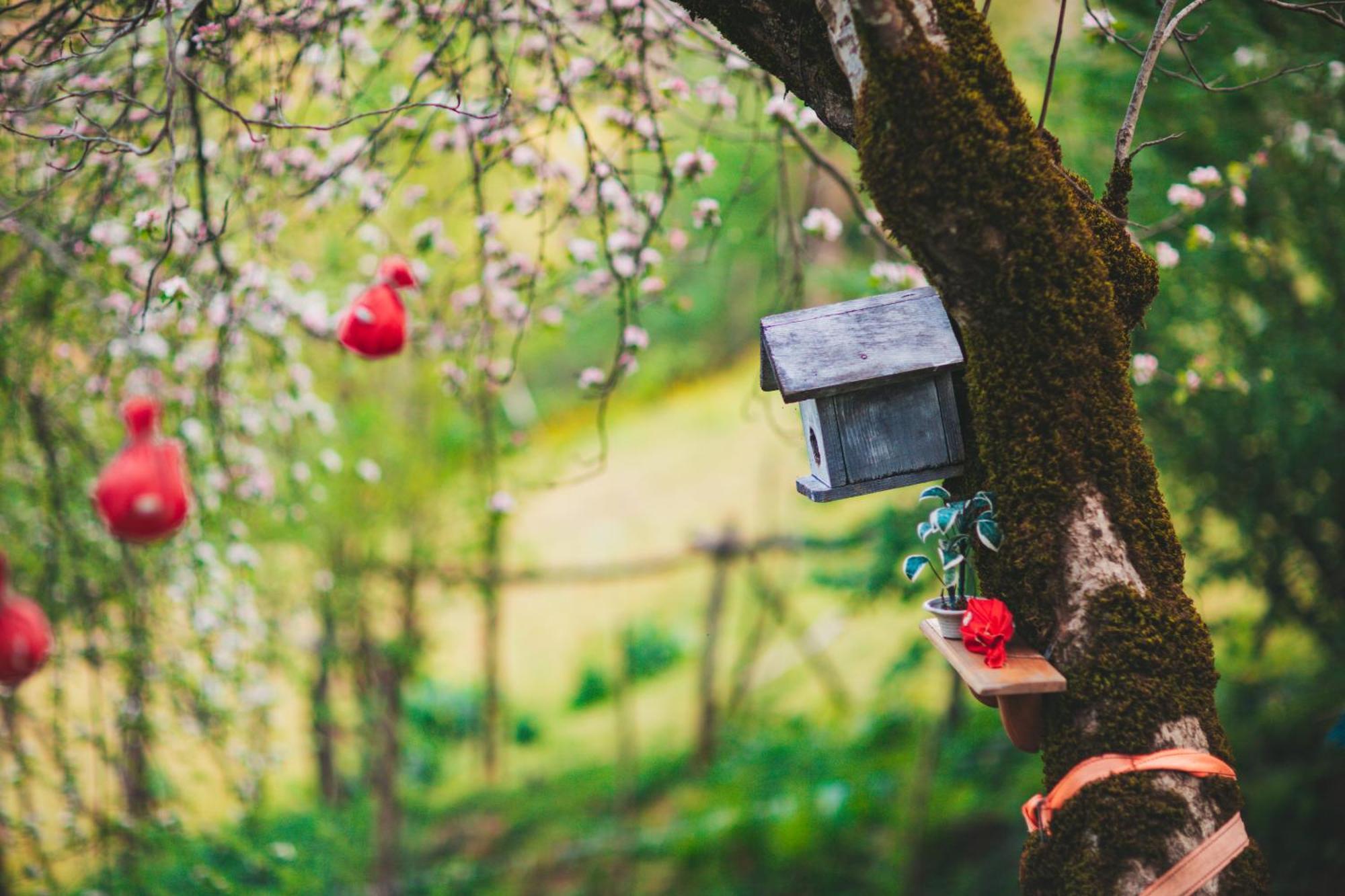 Eco Cottage Sunrise Merisi Dış mekan fotoğraf