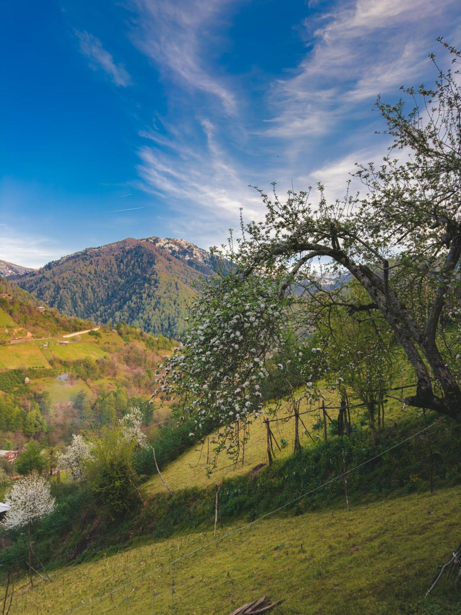 Eco Cottage Sunrise Merisi Dış mekan fotoğraf