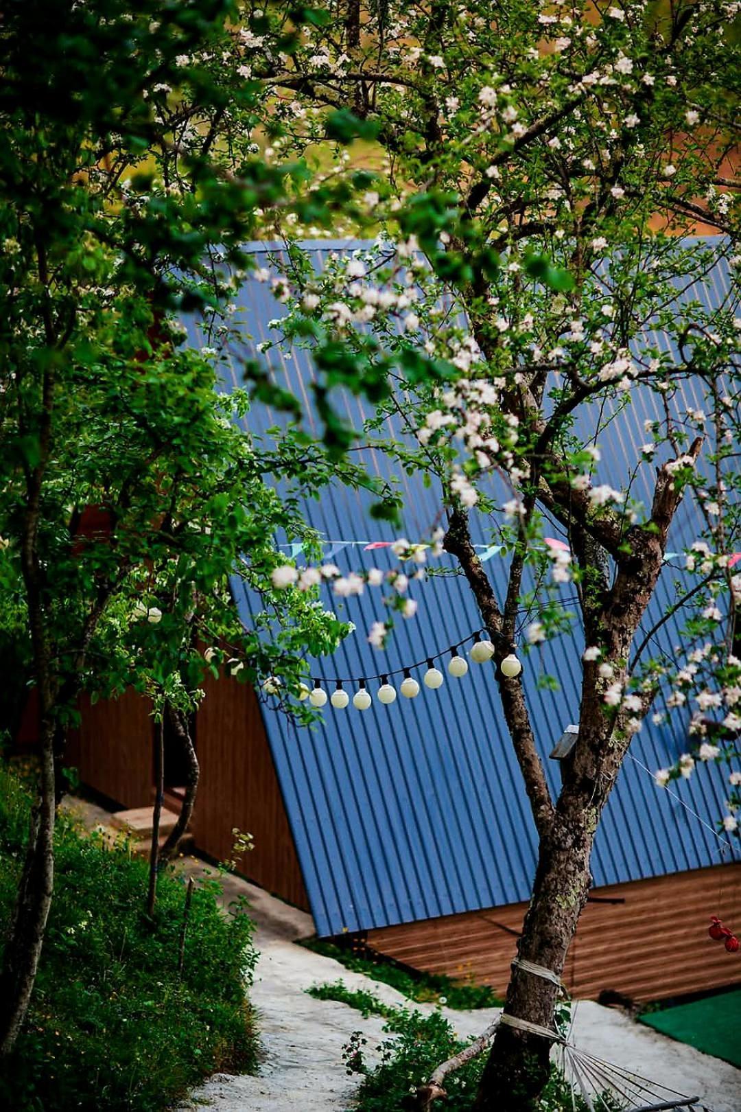 Eco Cottage Sunrise Merisi Dış mekan fotoğraf